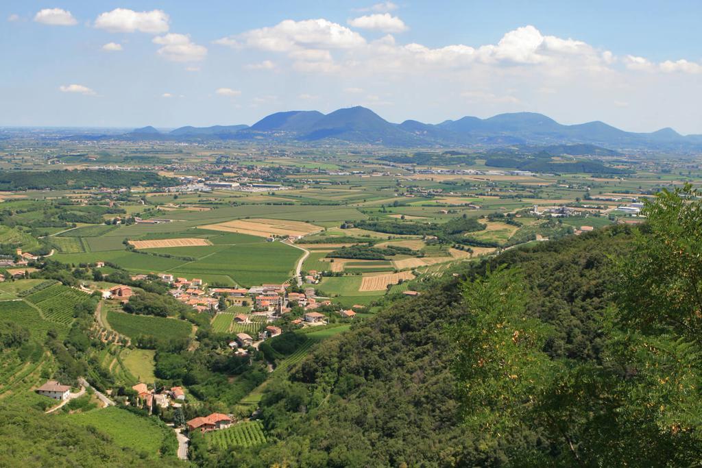 Agriturismo Monte Degli Aromi Villaga Exterior foto